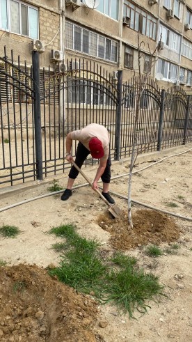 WhatsApp Image 2024 04 30 at 172032 1